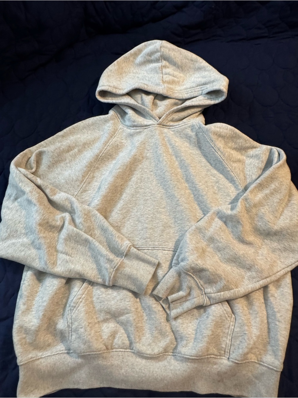 DSG Light Gray Pullover Hoodie